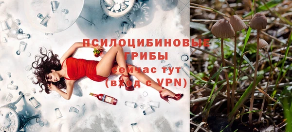 мяу мяу мука Алексин
