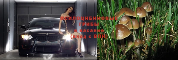 соль курить ск Алексеевка