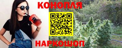 дмт Волгодонск